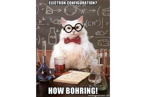 electron configuration meme|Best of Chemistry Cat, the Science Meme .